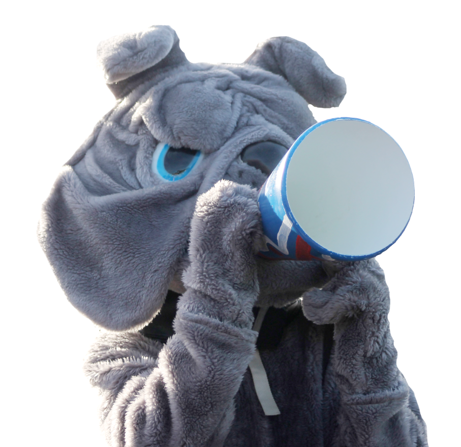 Bulldog Mascot